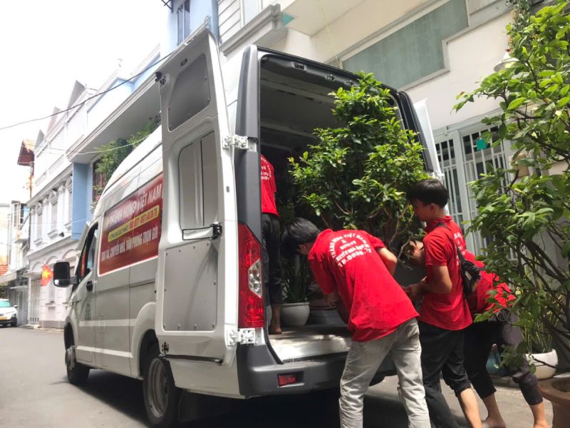 kinh nghiệm vận chuyển cây cảnh